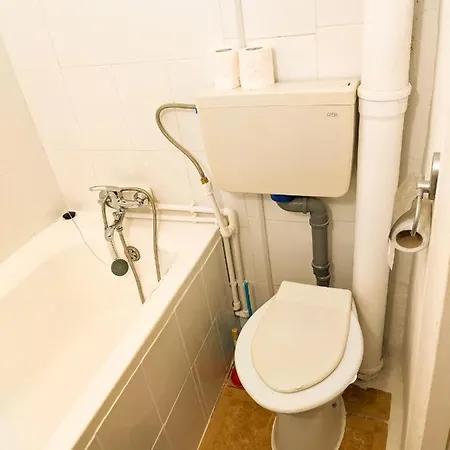 Moss's Economy Timisoara