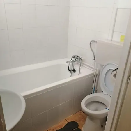 Moss's Economy Apartmán Temešvár