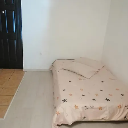 Moss's Economy Apartment Timisoara