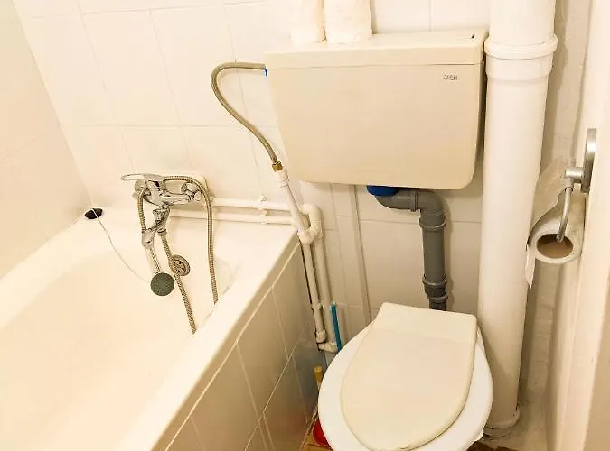 Moss's Economy Timisoara