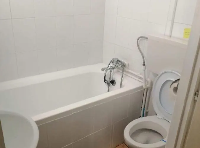 Moss's Economy Apartment Timisoara