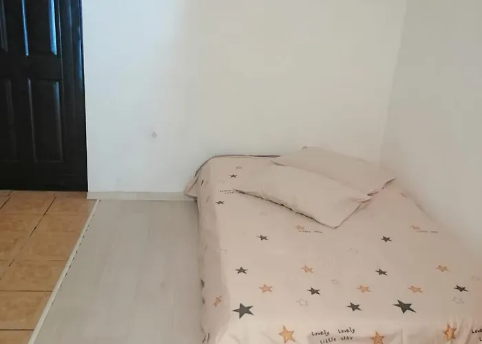 Moss's Economy Apartment Timisoara